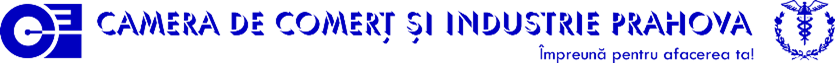 Partner 2 Logo